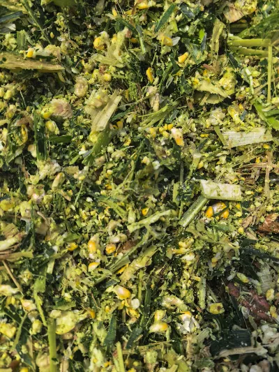 Какие основные преимущества делают Yiman Agriculture вашим идеальным поставщиком для проектов оптового импорта маринованной капусты?