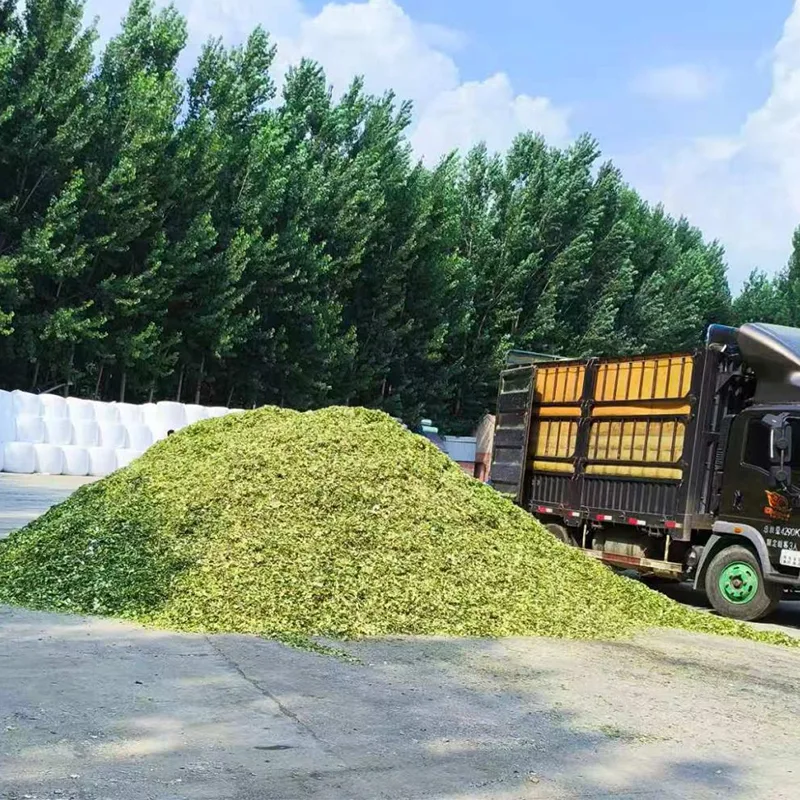 Специальный кукурузный силос для овец и коз
